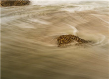 “抵抗遺忘”是對寫作者的最高要求　　對傅菲而言，“元”是周而復始之始，代表初心，“燈”乃光明之源……[詳細]