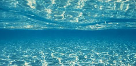 異世界的“小日常”與“大格局”——晉江文學城近半年網文新探