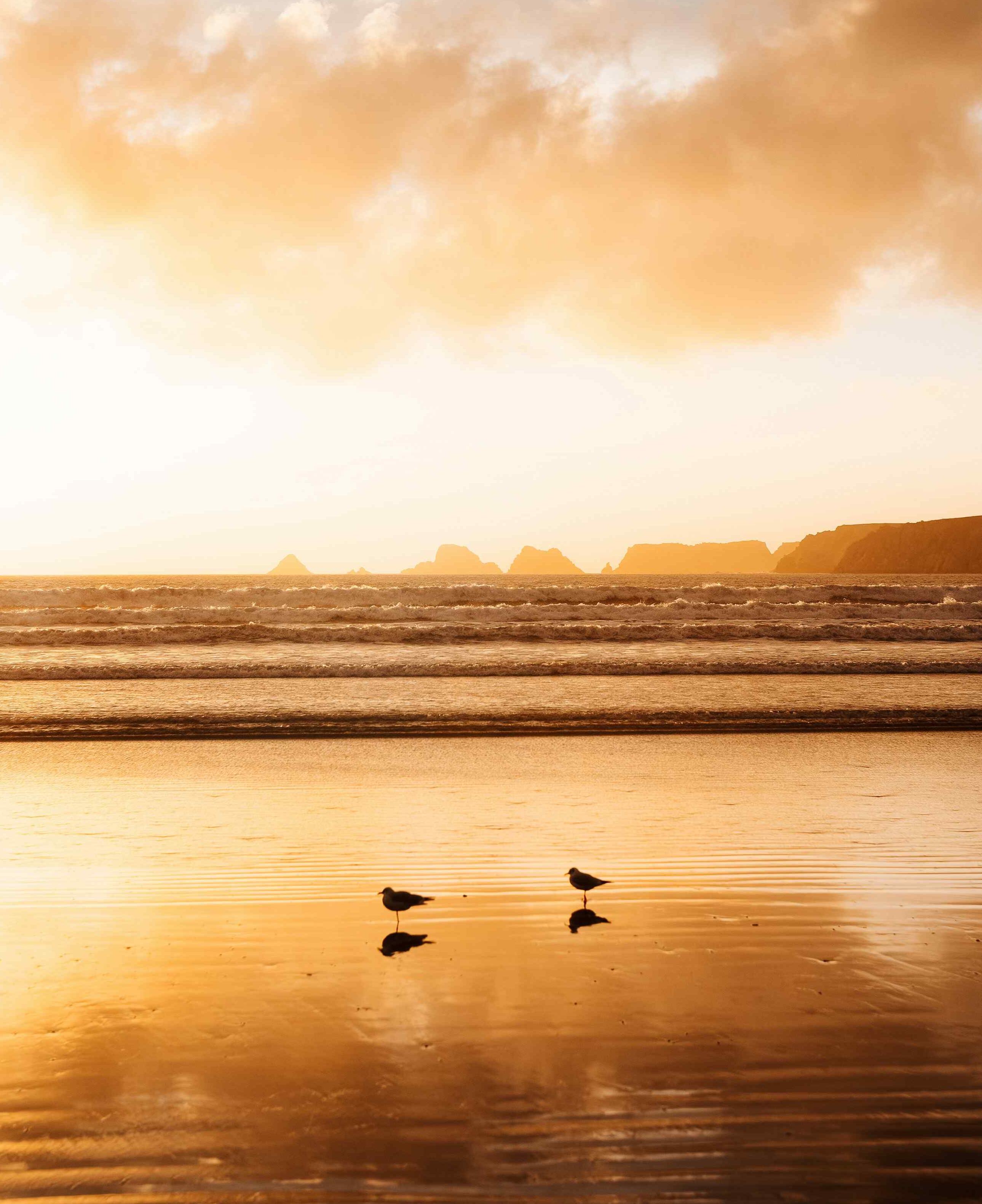 魚山長(zhǎng)歌