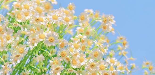 編輯部里的溫暖